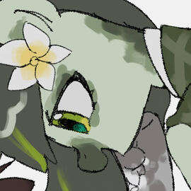 Sawa
