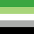 Romantic Orientation: Aromantic Romantic Orientation: Aromantic